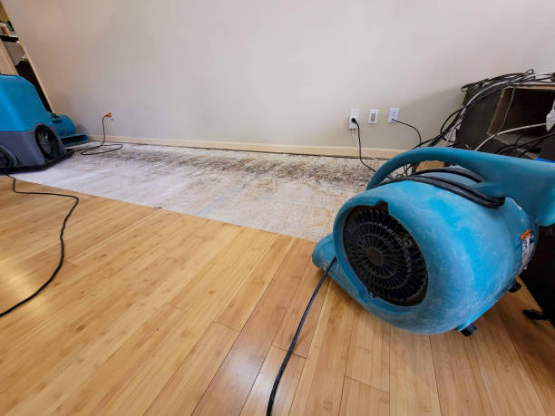 Professional Water Extraction technician working in Somers, IA